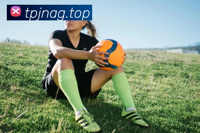 ag百家乐APP 封面图